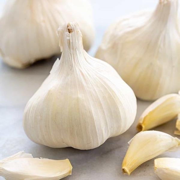 Garlic KG